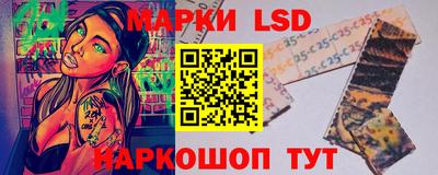 apvp Кингисепп
