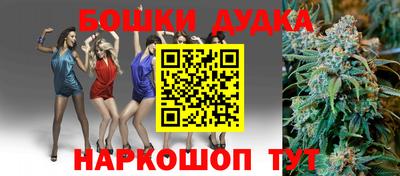 apvp Кингисепп