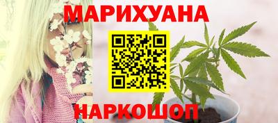 apvp Кингисепп