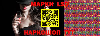 apvp Кингисепп