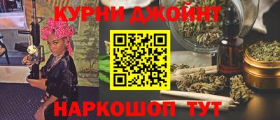 apvp Кингисепп