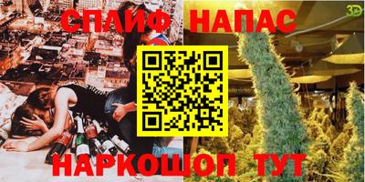 apvp Кингисепп
