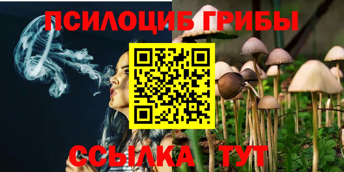 Псилоцибиновые грибы Cubensis Котельники