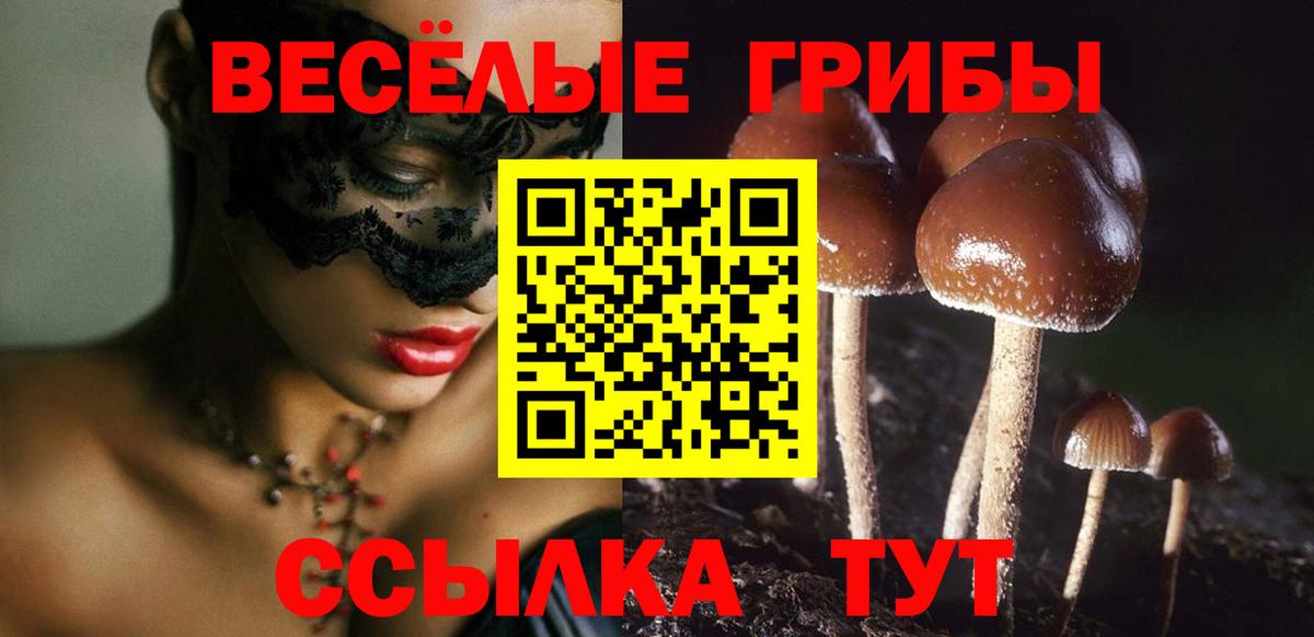 Галлюциногенные грибы прущие грибы  Вход с VPN  Псилоцибиновые грибы мухоморы  Котельники 